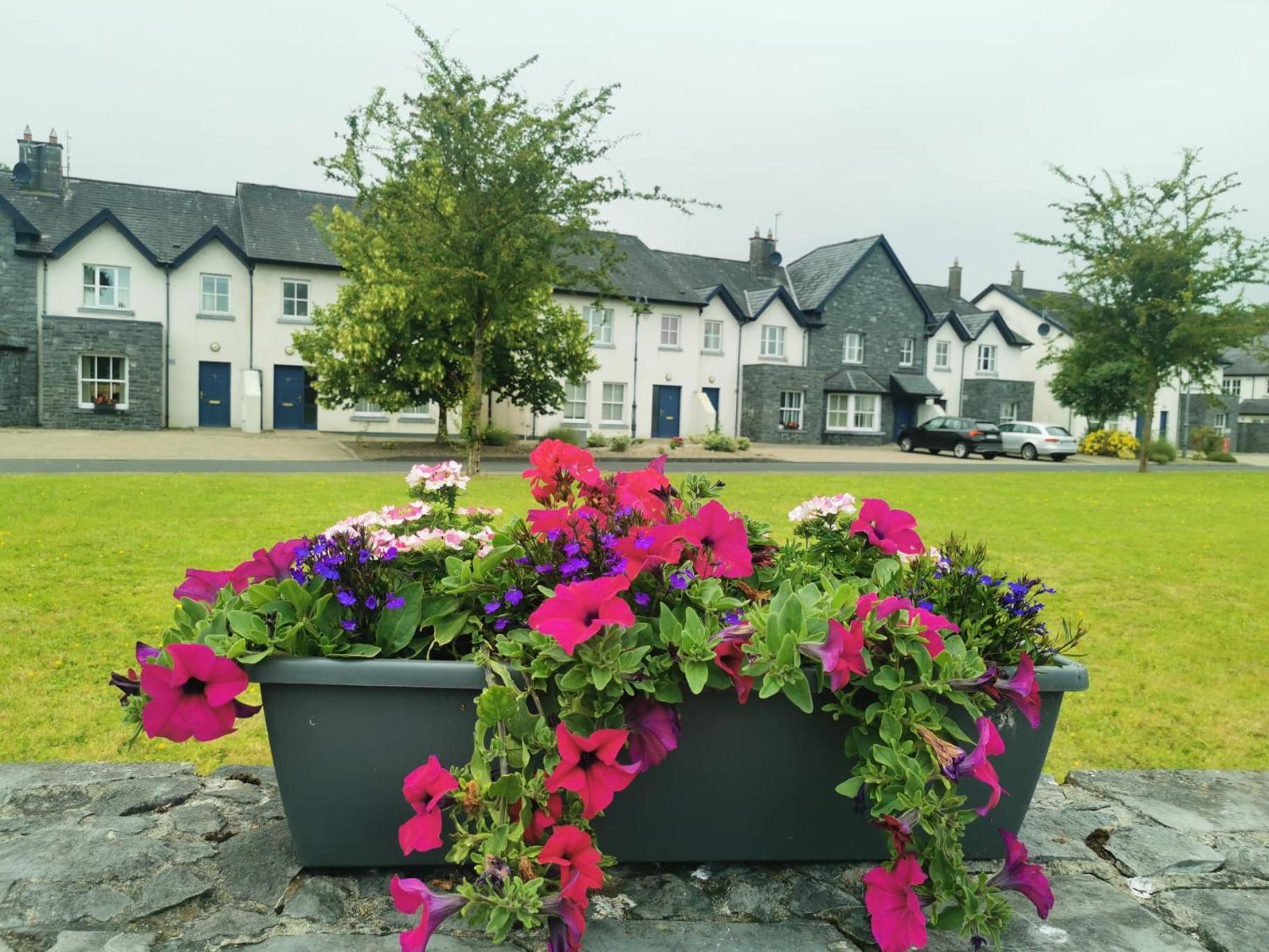 Bunratty Holiday Homes Dış mekan fotoğraf